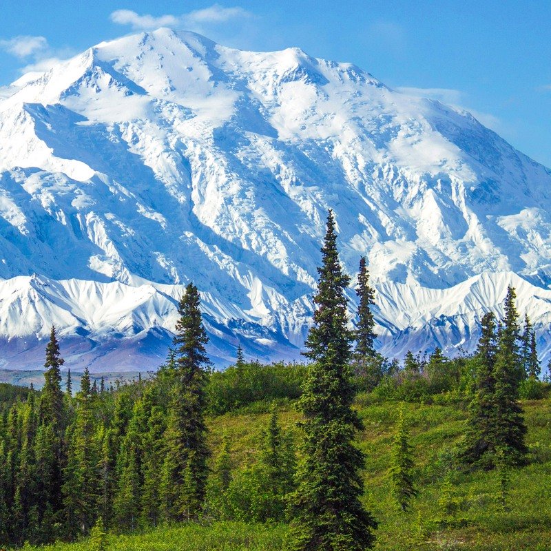Travel Writing Mt Denali in the spring 