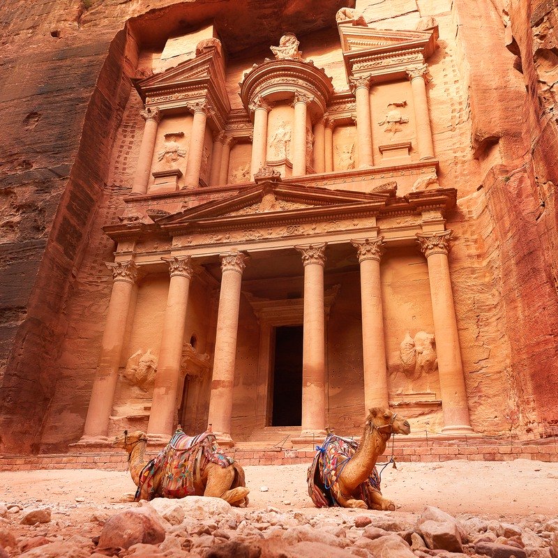 Travel Writing Petra exterior with resting camels